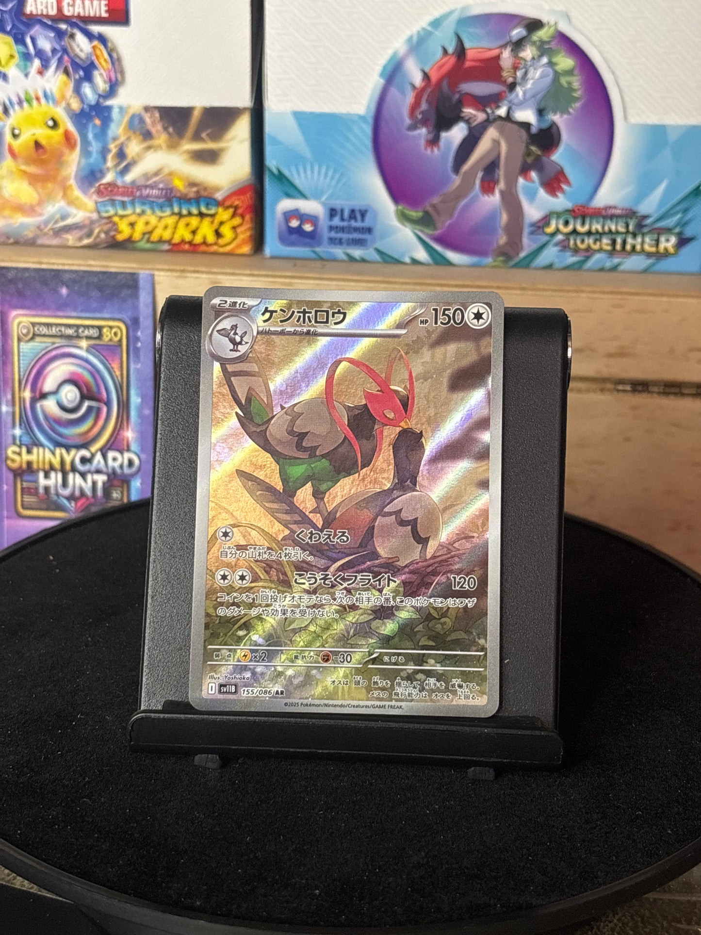 Unfezant #155 Pokemon Japanese Black Bolt