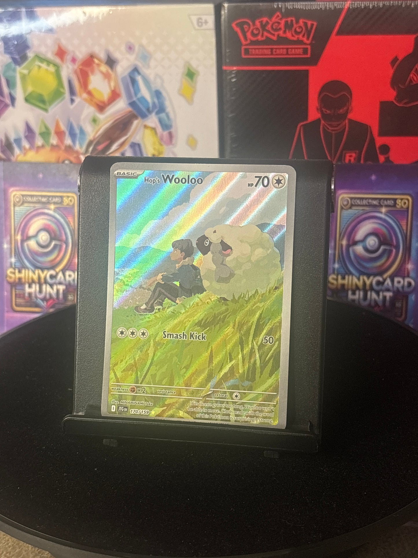 Hop's Wooloo #170 Pokemon Journey Together