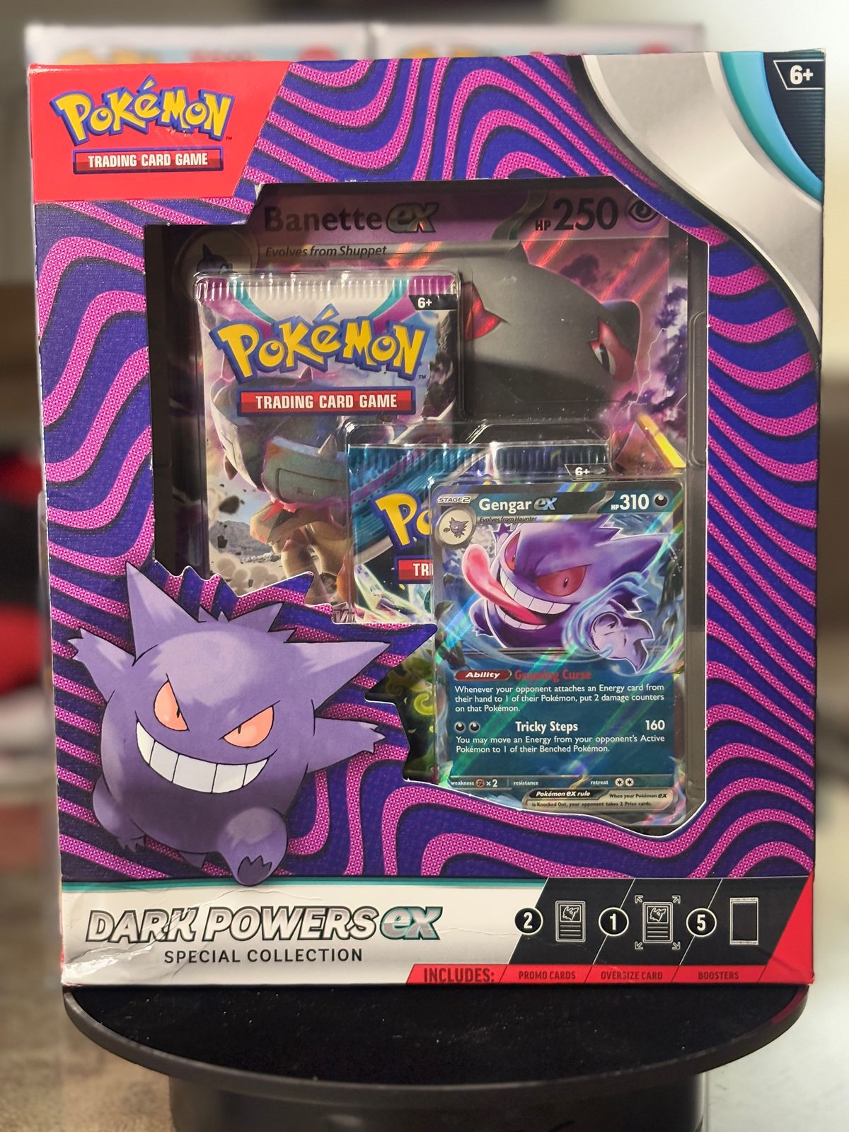 Pokémon Dark Power EX 2-in-1 Collection Box (Gengar & Absol) – Exclusive TCG Set!